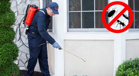 Keçiborlu Karınca İlaçlama böcek ilaçlama ve haşere kontrolü — ilaclama-tr.com